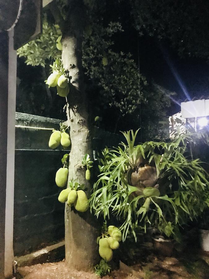 Emarald Holiday Homes Anuradhapura Luaran gambar